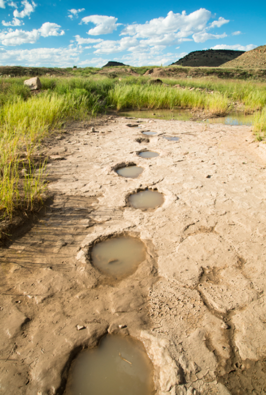 dinosaur tracks ok